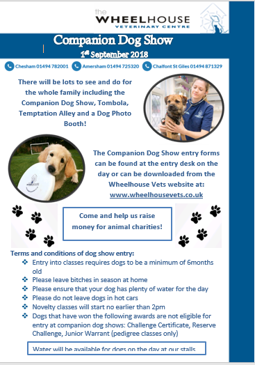 Companion Dog Show - 1st September 2018 at Chalfont Giles Village Show
