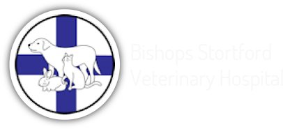 Bishops Stortford Vets