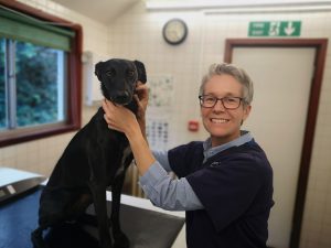 Vanessa Nichols Veterinary Surgeon Bishops Stortford Vets Vanessa gunnell was a contestant on season 4 of hell's kitchen. vanessa nichols veterinary surgeon