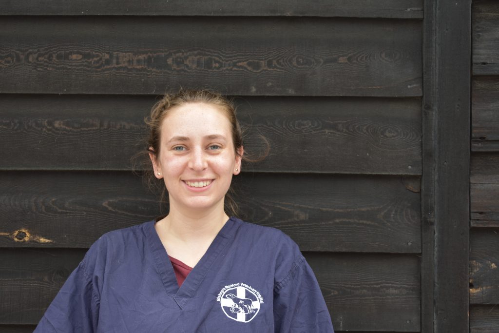 Lauren Romain - Veterinary Surgeon